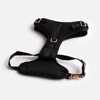 Aquafleece™ Waterproof Dog Harness – Black | Adjustable, Padded & Durable Comfort | Pawboxx USA