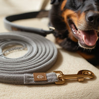 🐾 Pawboxx™ Premium Rewrite – Aquafleece Dog Leash