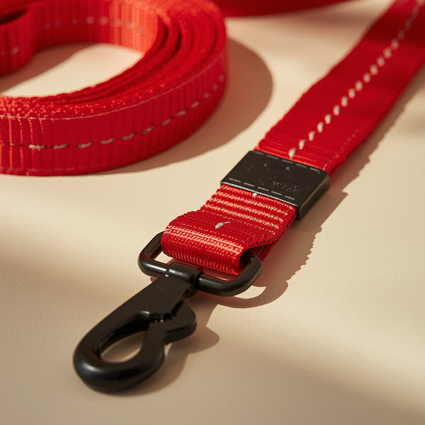 🐾 Reflective Leash – EEZY-6 Red | Pawboxx USA