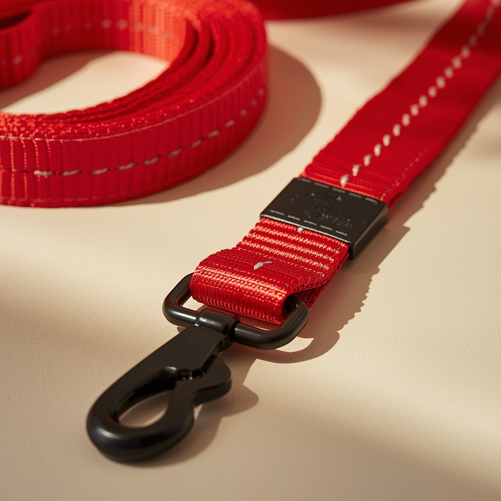 🐾 Reflective Leash – EEZY-6 Red | Pawboxx USA
