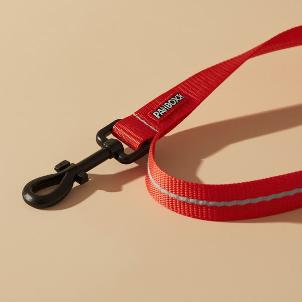 🐾 Reflective Leash – EEZY-6 Red | Pawboxx USA