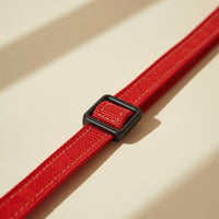 🐾 Reflective Leash – EEZY-6 Red | Pawboxx USA