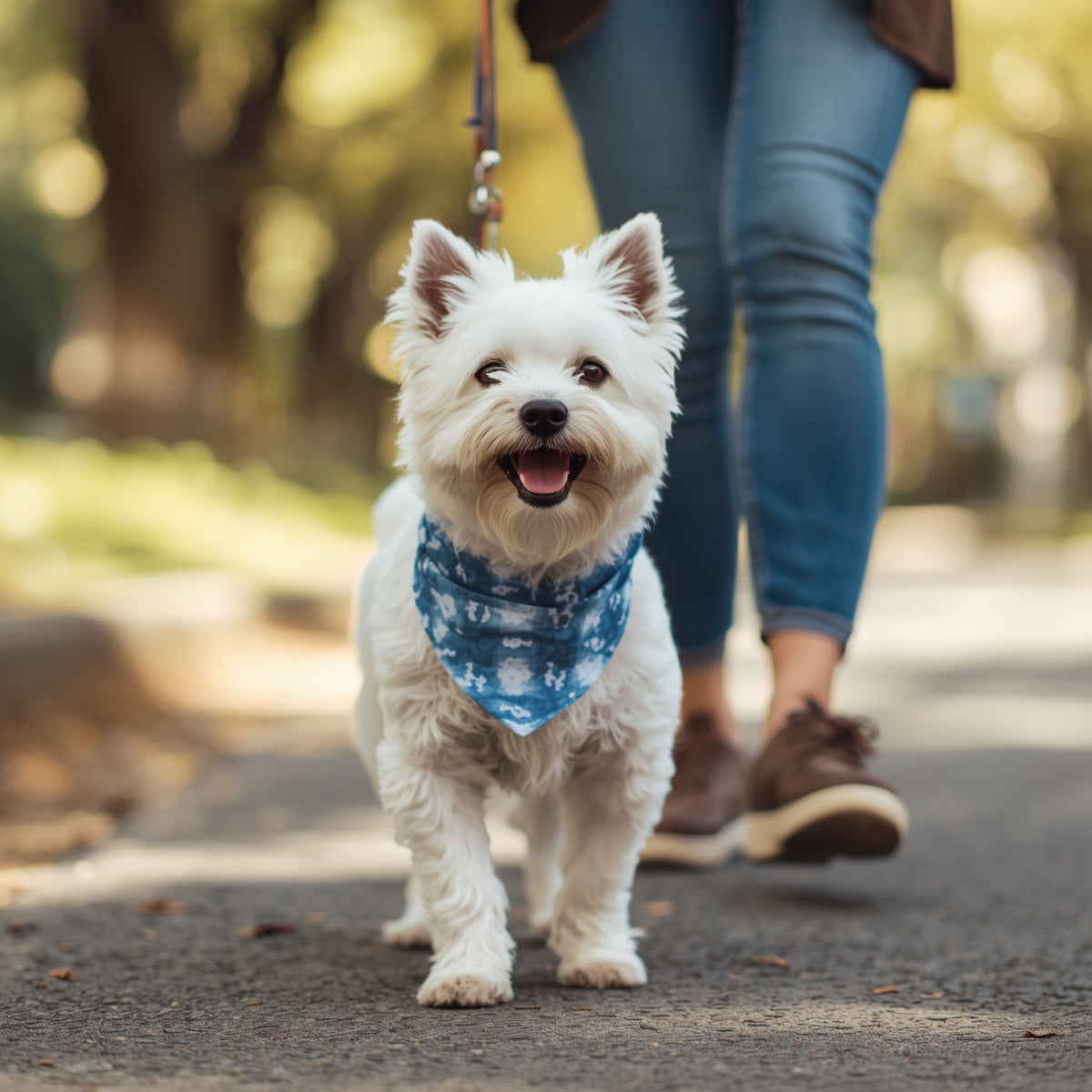 🐾 Poplin Dog Bandana Collar – Blue Tie Dye | Adjustable with Metal Buckle