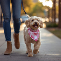 Pawboxx™ Pink Tie-Dye Dog Bandana Collar – Stylish Adjustable Fit