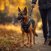 Aquafleece™ Waterproof Dog Harness – Black | Adjustable, Padded & Durable Comfort | Pawboxx USA